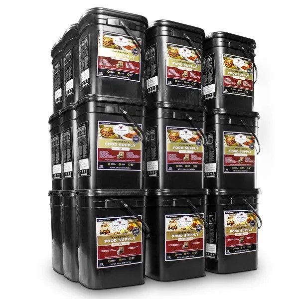 12 Month Supply for Family of 4, 3 Servings Per Day (4,320 Servings)