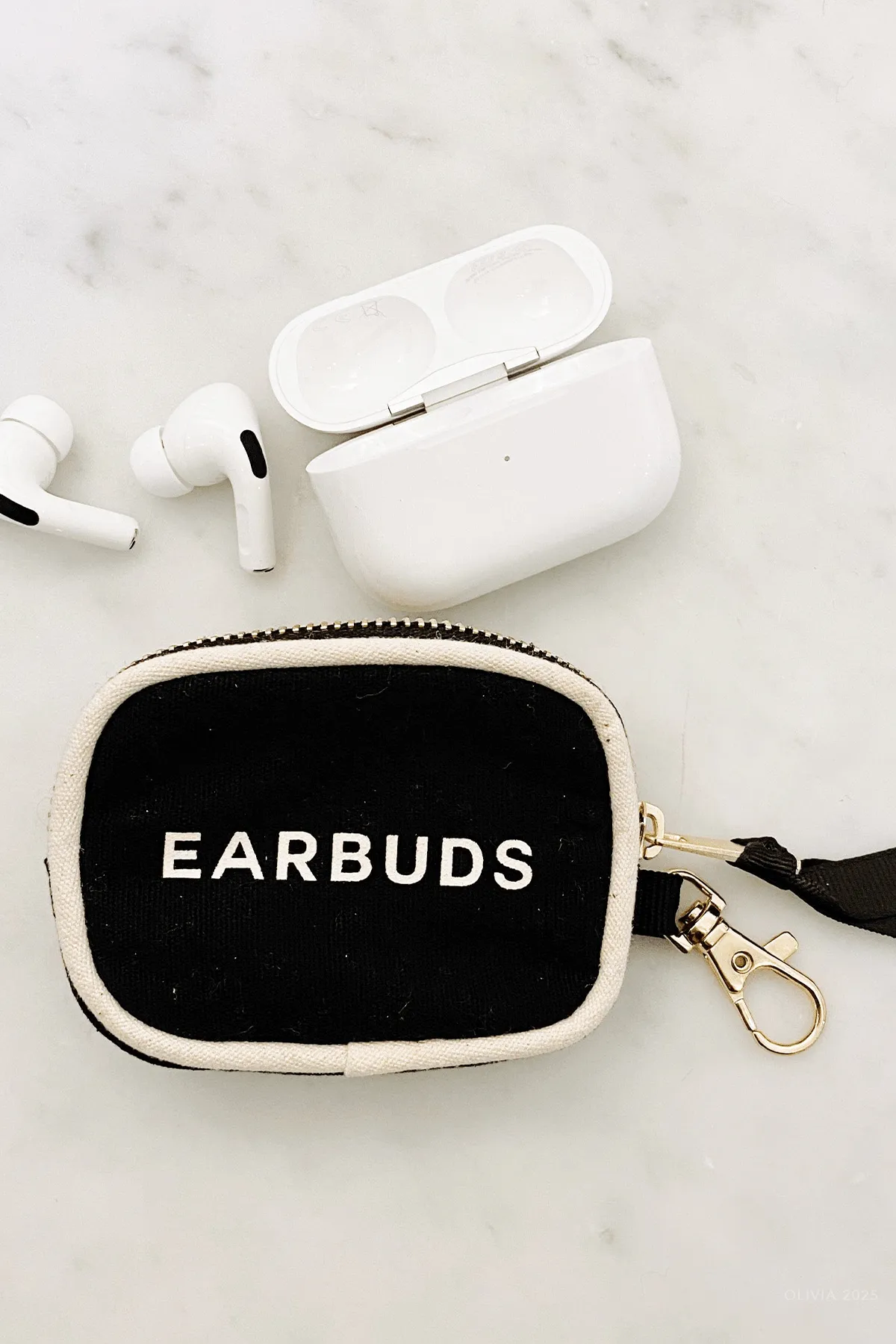 Earbuds/Airpods Case with Clasp in Black
