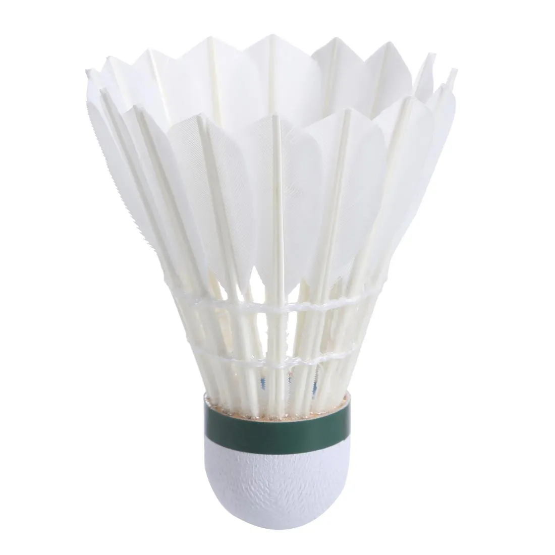 FEATHER SHUTTLECOCK FSC 560 SPEED 78 x 12
