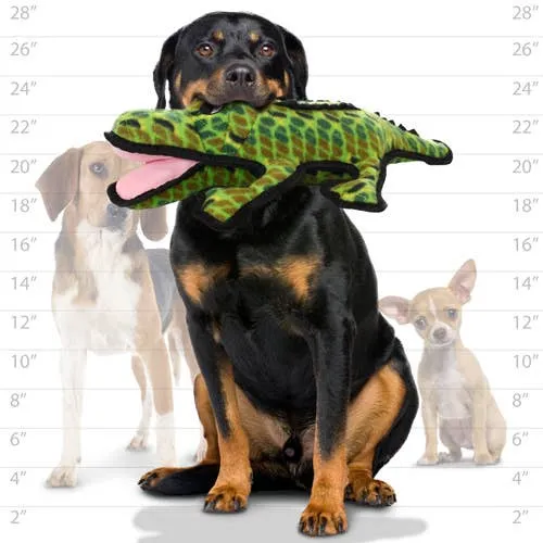 Tuffy Dog Toys - VIP Products - Tuffy Ocean  Alligator, Durable, Squeaky Dog Toy